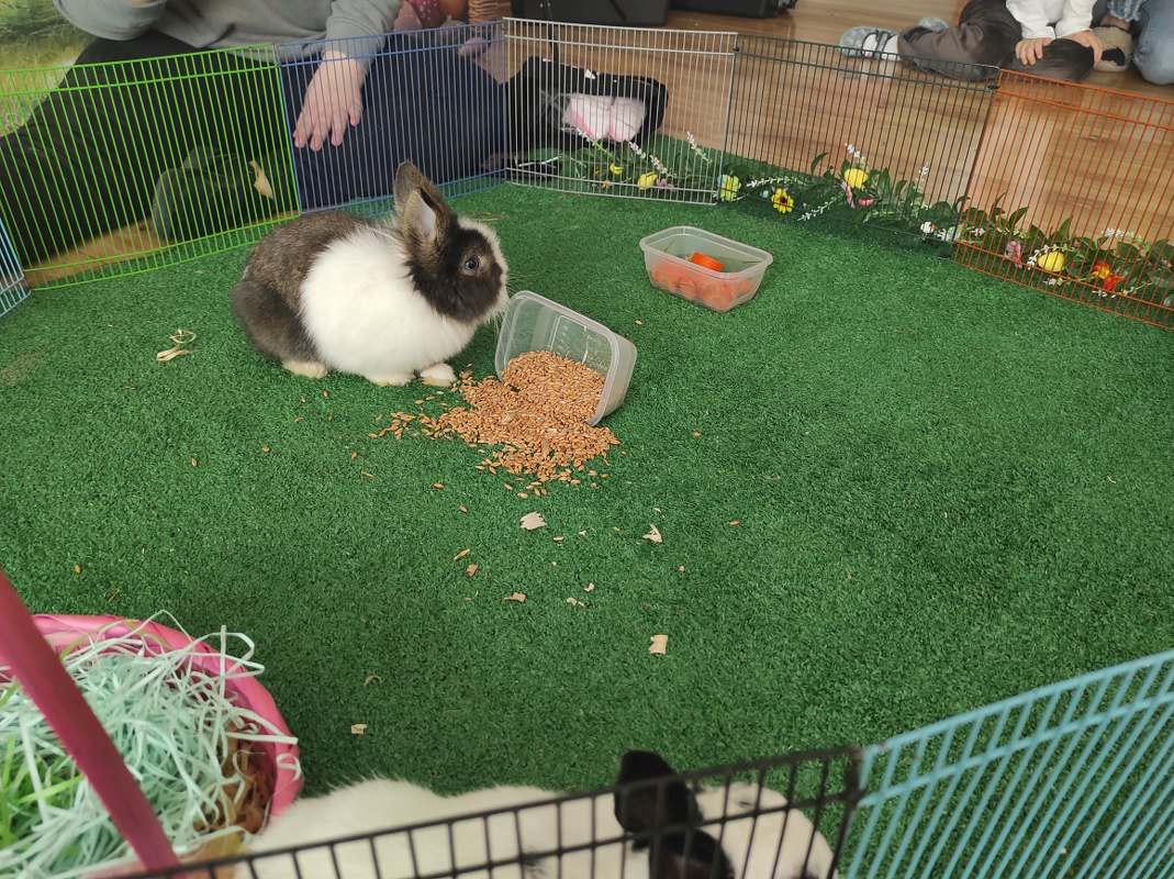 Wielkanocne Warsztaty Wielkanocne